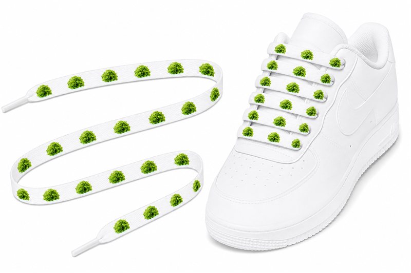 Lacets Salade